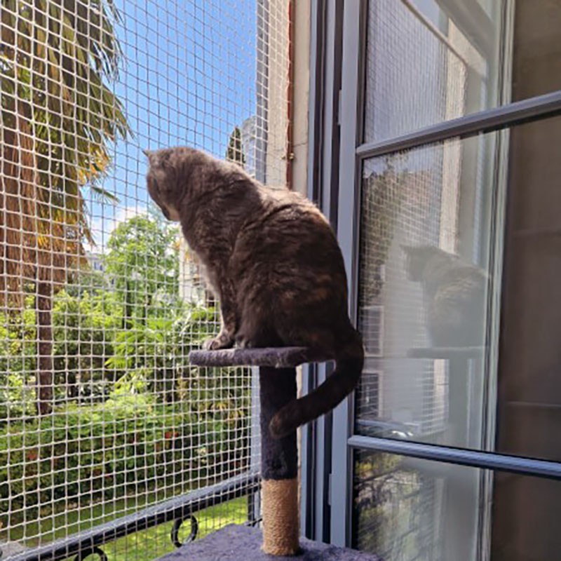 Filet de protection pour chats - mailles 25 x 25 mm