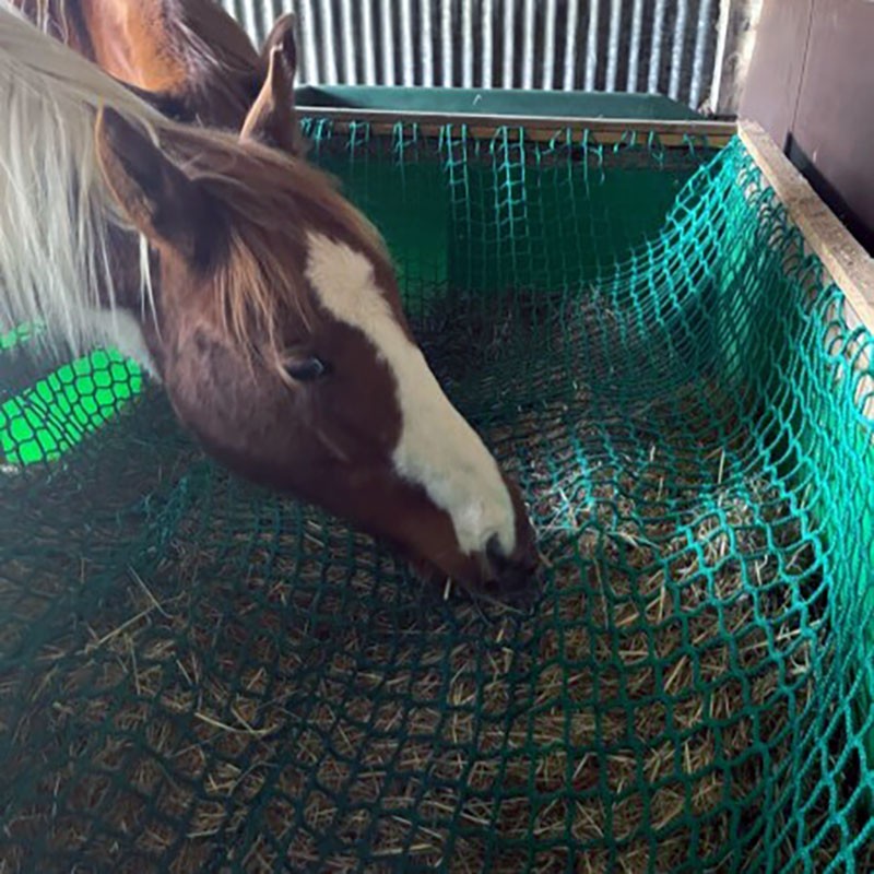 Filet pour mangeoire à chevaux robuste - Mailles 45 mm - ∅ 5 mm