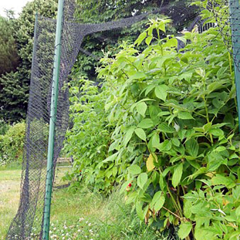 Filet anti-étourneaux standard - mailles 28 x 28 mm