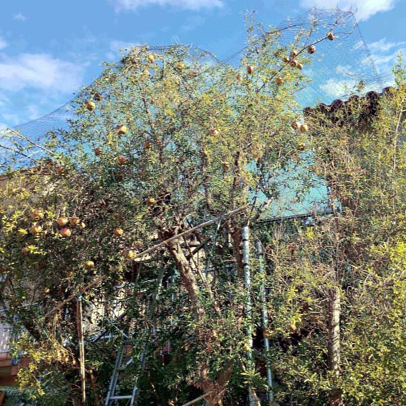 Filet anti-pigeons ignifugé sur mesure - Mailles 50 mm