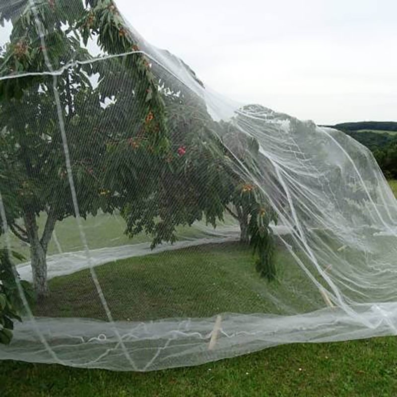 Filet pour arbre fruitier - Mailles 4 x 8 mm - 40 g/m²