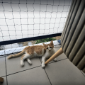 Filet de protection pour chat économique - Mailles 50 mm - ∅ 1 à 1,3 mm