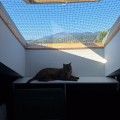 Filet de protection pour chats robuste - Mailles 25 x 25 mm - ∅ 1,8 mm - Câblé noué