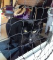 Filet de protection pour chat économique - Mailles 50 mm - ∅ 1 à 1,3 mm