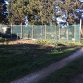 Filet d'ombrage pour serre tunnel - Monofils - Ombrage modéré (± 40%)