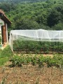 Filet climatique et thermique - Monofils - Ombrage léger (± 20%)
