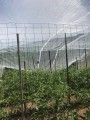 Filet climatique et thermique - Monofils - Ombrage léger (± 20%)