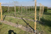 Filet climatique et thermique - Monofils - Ombrage léger (± 20%)