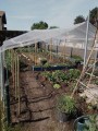 Filet climatique et thermique - Monofils - Ombrage léger (± 20%)