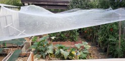 Filet climatique et thermique - Monofils - Ombrage léger (± 20%)
