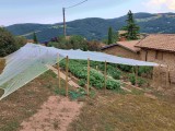 Filet climatique et thermique - Monofils - Ombrage léger (± 20%)