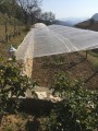 Rouleau filet climatique et thermique - Longueur 100 et 250 m - Monofils - Ombrage léger (± 20%)