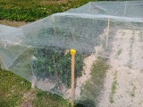 Rouleau filet climatique et thermique - Longueur 100 et 250 m - Monofils - Ombrage léger (± 20%)