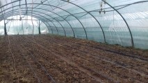 Rouleau filet d'ombrage pour serre agricole - Longueur 100 m - Monofils - Ombrage élevé (± 70%)