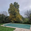 Filet anti-feuilles et salissures sur mesure - Mailles 1 x 1 mm - 110 g/m²