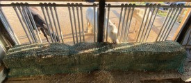 Filet à foin pour mangeoire à chevaux robuste - sur mesure - Mailles 60 mm - ∅ 5 mm