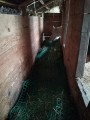Filet à foin pour mangeoire à chevaux robuste - sur mesure - Mailles 100 mm - ∅ 5 mm