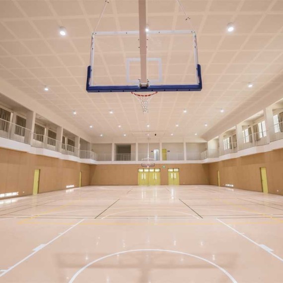 But de basket charpente avec cadre fixe