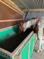 Filet à foin pour mangeoire à chevaux robuste - sur mesure - Mailles 45 mm - ∅ 5 mm