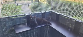 Filet de protection pour chats robuste - Mailles 25 x 25 mm - ∅ 1,8 mm - Câblé noué