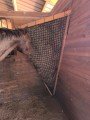 Filet à foin pour mangeoire à chevaux robuste - sur mesure - Mailles 45 mm - ∅ 5 mm