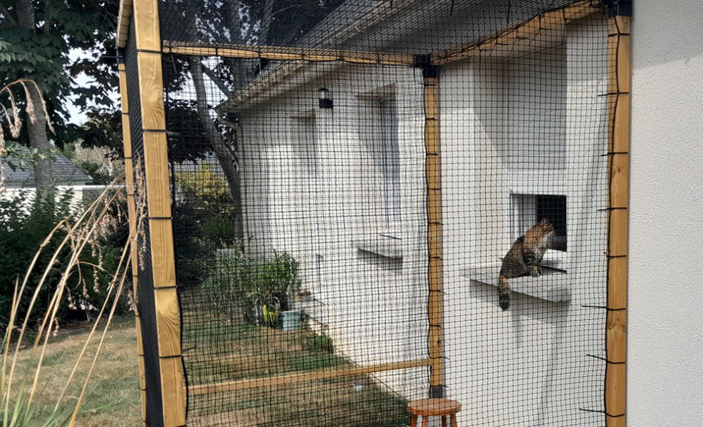 Filet de protection pour chats - Mailles 25 x 25 mm - ∅ 1,8 mm envoyé par un client