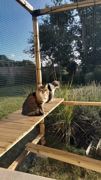 Création sur mesure d'un catio avec filet de protection chats