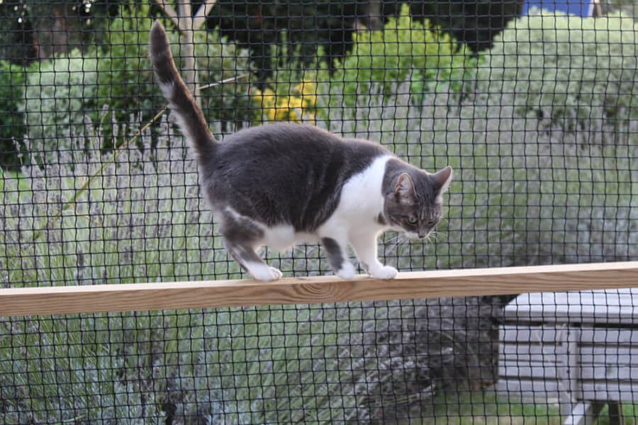 Catio bois sur mesure avec filets de protection pour chats