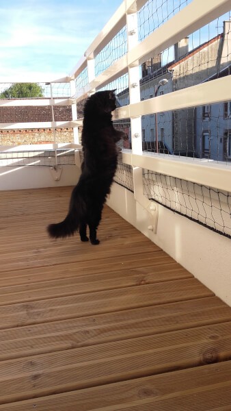 Filet de protection pour chat pour balcon