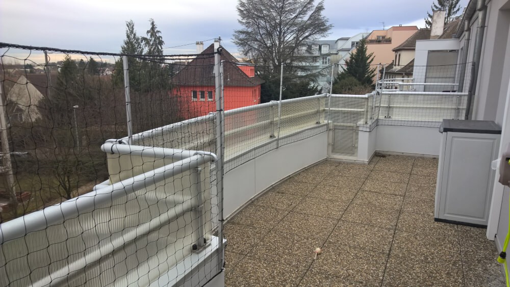 Filet anti saut pour chat sur terrasse