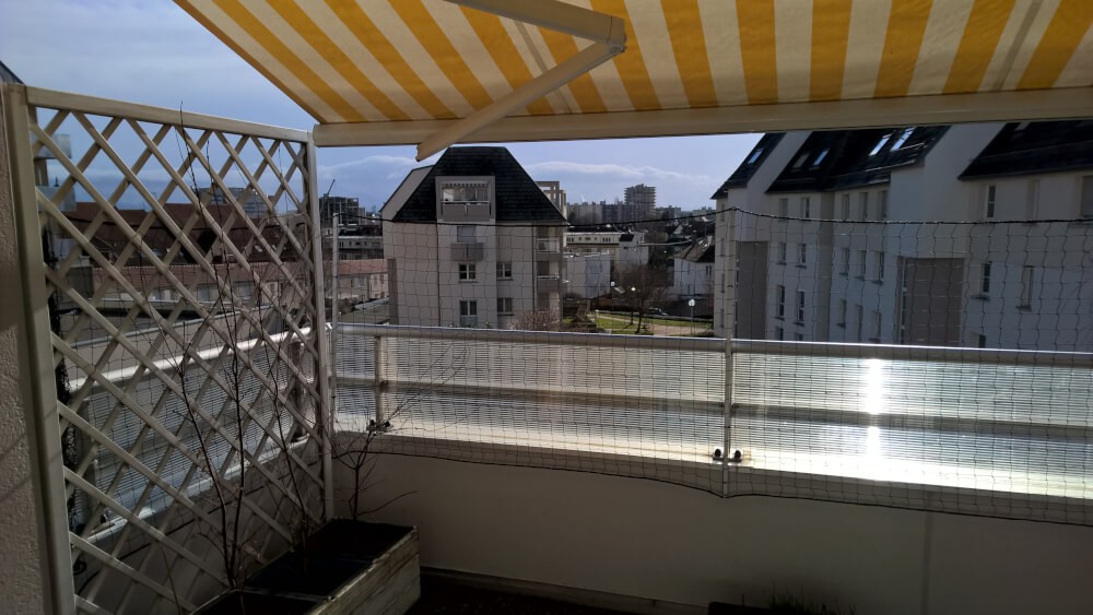 Balcon sécurisé avec un filet de protection pour chat