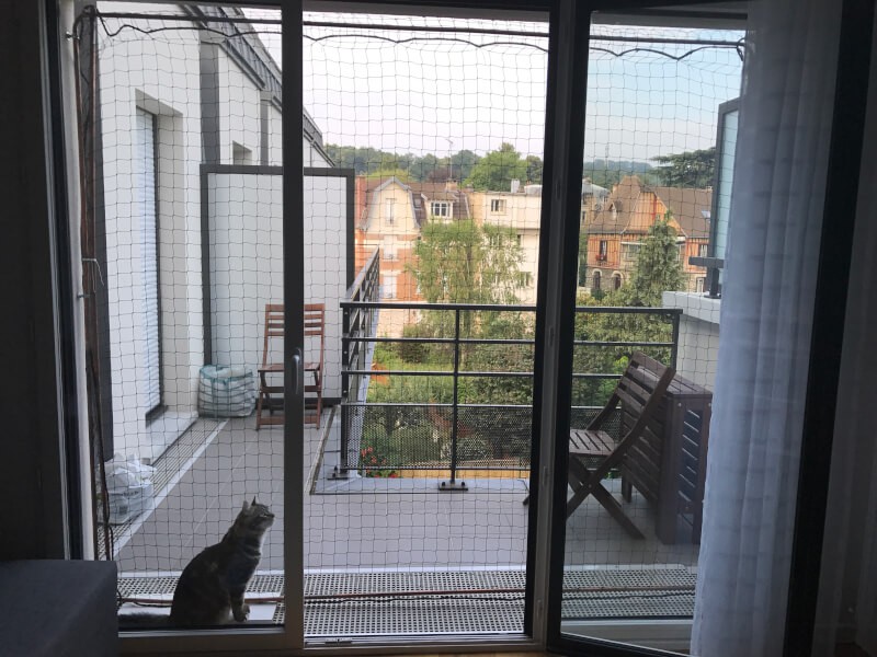 Sécuriser une porte fenêtre avec un filet de protection pour chat