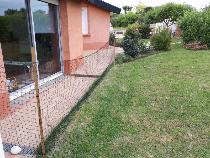 Filet de protection pour chat économique