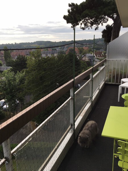 Filet protection pour chat sur balcon