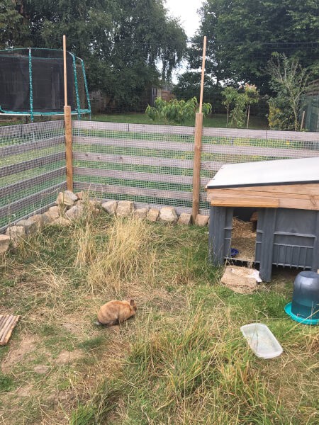 Filet enclos à lapins