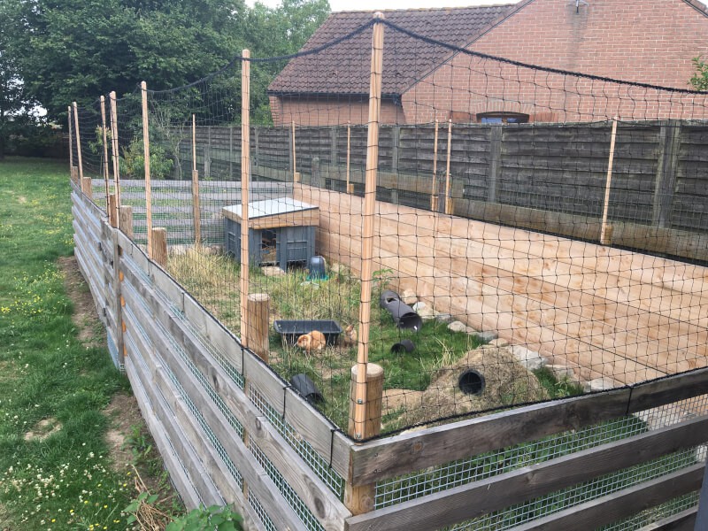 Filet pour enclos à lapins protection contre les chats