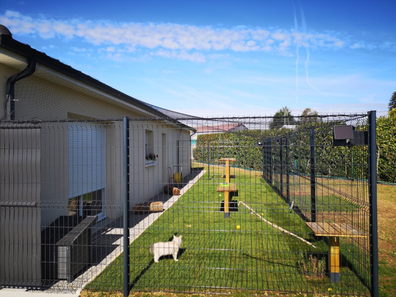 Filet toiture pour enclos à chats