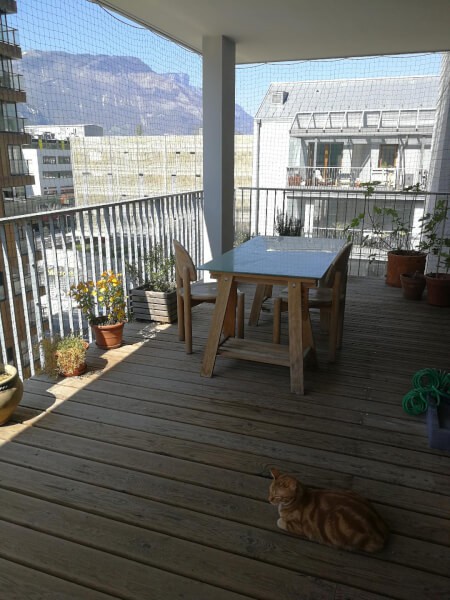 Sécuriser son balcon avec un filet de protection pour chat économique