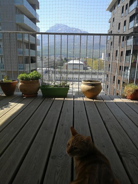 Filet de protection pour chat pour sécuriser un balcon