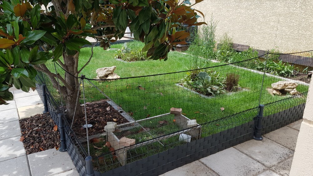 Filet de protection pour enclos à tortues