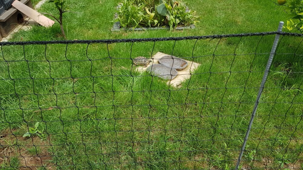 Filet de protection pour animaux