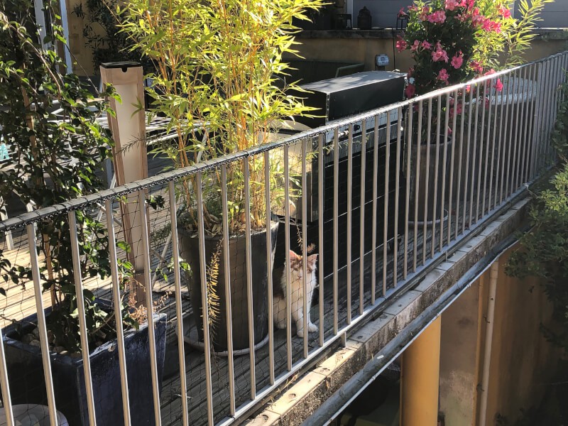 - Filet de protection pour chat installé sur un balcon