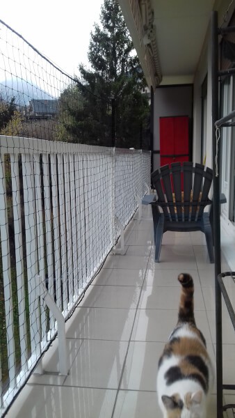 Filet de protection pour chat installé sur rambarde balcon