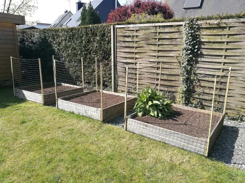 Filet anti-chats pour protéger les potagers