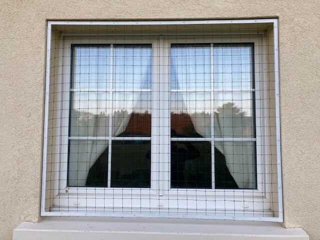 Filet de protection pour chat économique