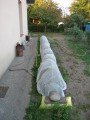 Rouleau de filet anti-insectes / moustiques - Longueur 100 m - Mailles 1 x 1 mm - 110 g/m²