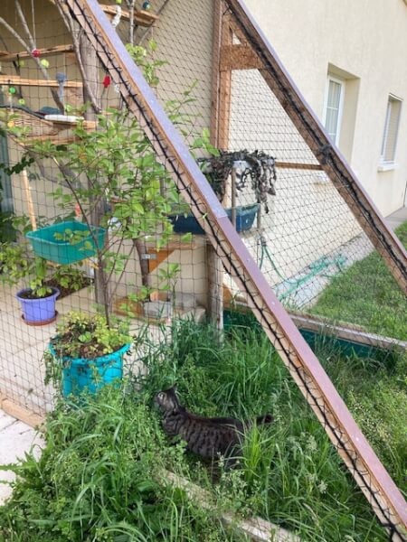 Filet de protection pour chat économique