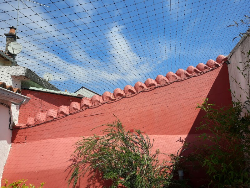 Filet de protection pour chat économique