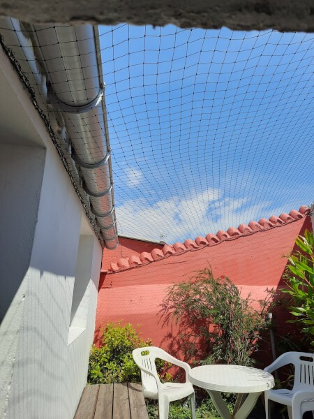 Filet de protection pour chat économique