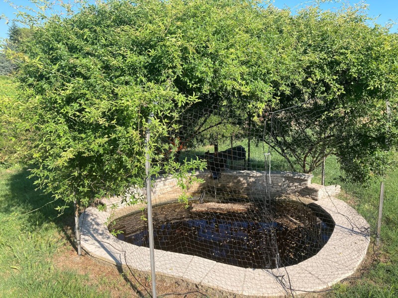 Filet pour protéger les carpes et poissons maintenant à l'abris du Héron